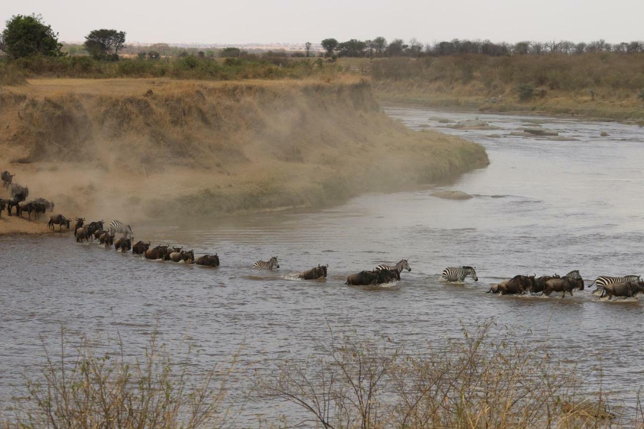 Gnu Mara River Camp Серенгеті Екстер'єр фото